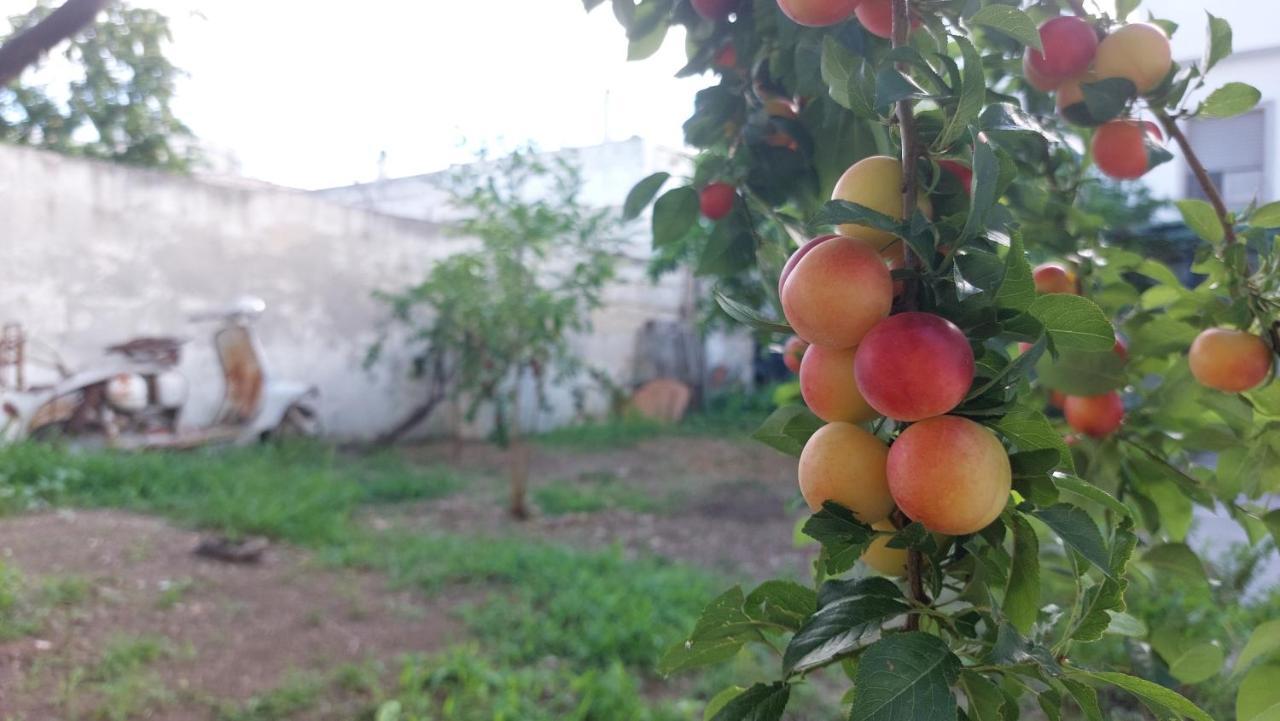 Jonia Appartamento Vacanze Vicino Al Mare Con Giardino Pulsano Ngoại thất bức ảnh